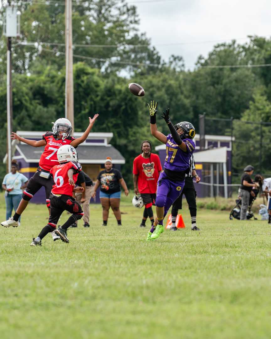 Entertainment/Sports Image